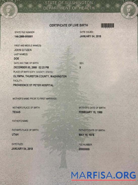 Blank United States Department of Health St Peter hospital birth certificate real example